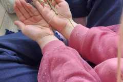 WhatsApp-Image-2026-04-17-at-18.37