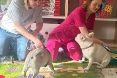 Spotkanie z technikiem weterynarii i pieskami