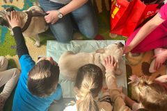 WhatsApp-Image-2026-03-02-at-17.23.3