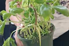 1_WhatsApp-Image-2026-04-20-at-10