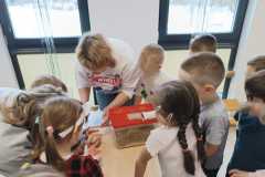 WhatsApp-Image-2026-02-20-a