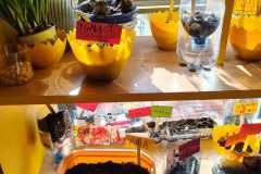 WhatsApp-Image-2026-0