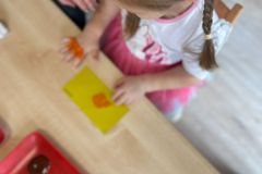 Zdjecie-WhatsApp-2025-10-31-o-13.43.10_a05d9198