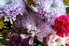 WhatsApp-Image-20