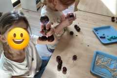 Zdjecie-WhatsApp-2025-10-24-o-17.30.48_5d713c63