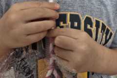 WhatsApp-Image-2026-02-16-at-10.04.0