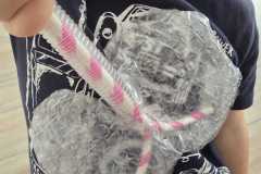 WhatsApp-Image-2026-02-16-at-10