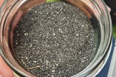 WhatsApp-Image-2026-02-2