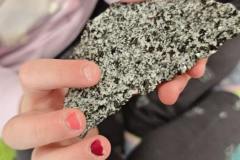 WhatsApp-Image-2026-02-23-