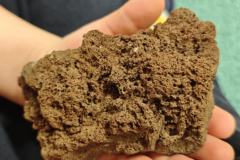 WhatsApp-Image-2026-02-23-at-14.2