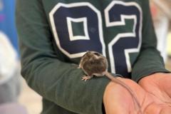 WhatsApp-Image-2026-02-24-at-09.37.0