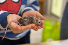 WhatsApp-Image-2026-02-24-at-09.37