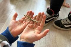 WhatsApp-Image-2026-04-16-at-11.48.23