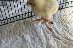 WhatsApp-Image-2026-03-24-at-