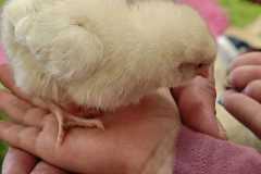 1_WhatsApp-Image-2026-03-24-at-14