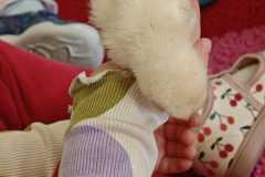 WhatsApp-Image-2026-03-2