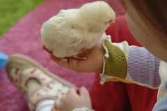 WhatsApp-Image-2026-03-24-at-