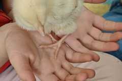 WhatsApp-Image-2026-03-24-at-1