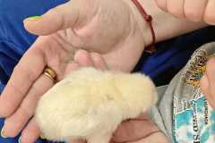 WhatsApp-Image-2026-03-24-at-14.2