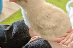 WhatsApp-Image-2026-03-24-at-14.24.2