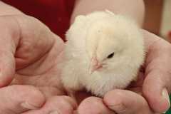 WhatsApp-Image-2026-03-24-at-14.24.23