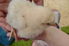 WhatsApp-Image-2026-03-24-at-14.24