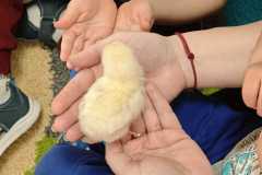 WhatsApp-Image-2026-03-24-at-14