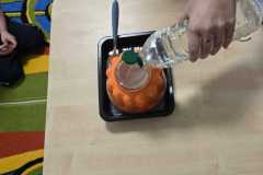 Zdjecie-WhatsApp-2025-09-19-o-12.58.47_08fea92d