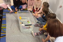 WhatsApp-Image-2026-01-13-at-13.4