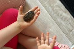 Zdjecie-WhatsApp-2025-09-10-o-09.21.26_122996fe