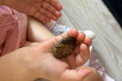 Zdjecie-WhatsApp-2025-09-10-o-09.21.27_9ca55928