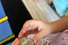 Zdjecie-WhatsApp-2025-09-10-o-09.21.27_ae5ef609