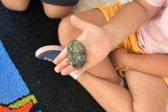 Zdjecie-WhatsApp-2025-09-10-o-09.21.28_43507f27