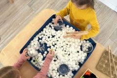 WhatsApp-Image-2026-03