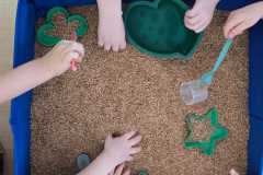 WhatsApp-Image-2026-0