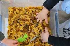 WhatsApp-Image-2026-02-03-a