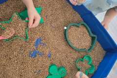 WhatsApp-Image-2026-02-03-at-11.09.4