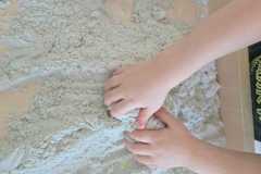 WhatsApp-Image-2026-02-03-at-11