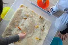 WhatsApp-Image-2026-02-03-at