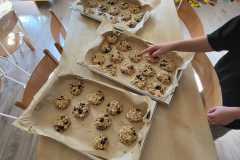 1_WhatsApp-Image-2026-03-17-at-14