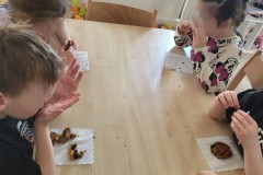 WhatsApp-Image-2026-03-