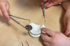 Zajęcia z Panią stomatolog