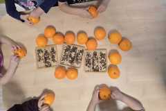 WhatsApp-Image-2025-12-