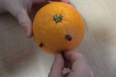 WhatsApp-Image-2025-12-22-a