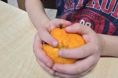 WhatsApp-Image-2025-12-22-at-19.54