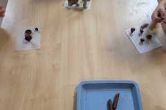 Zdjecie-WhatsApp-2025-09-30-o-10.43.03_85d787b8