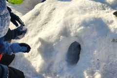 WhatsApp-Image-2026-02-15-at-17.05.38